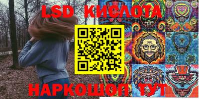 прущие грибы Краснокаменск