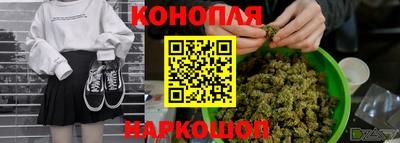 прущие грибы Краснокаменск