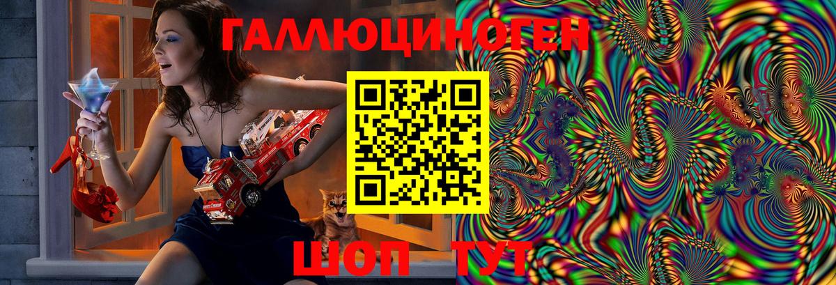 Галлюциногенные грибы GOLDEN TEACHER  где можно купить наркотик  Вход с VPN  Котлас  Галлюциногенные грибы MAGIC MUSHROOMS 