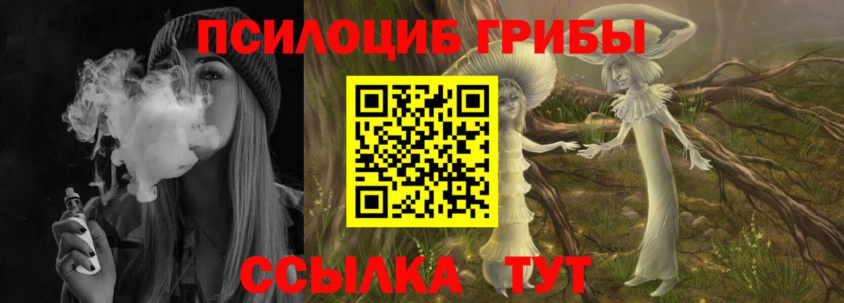 Псилоцибиновые грибы ЛСД Котлас