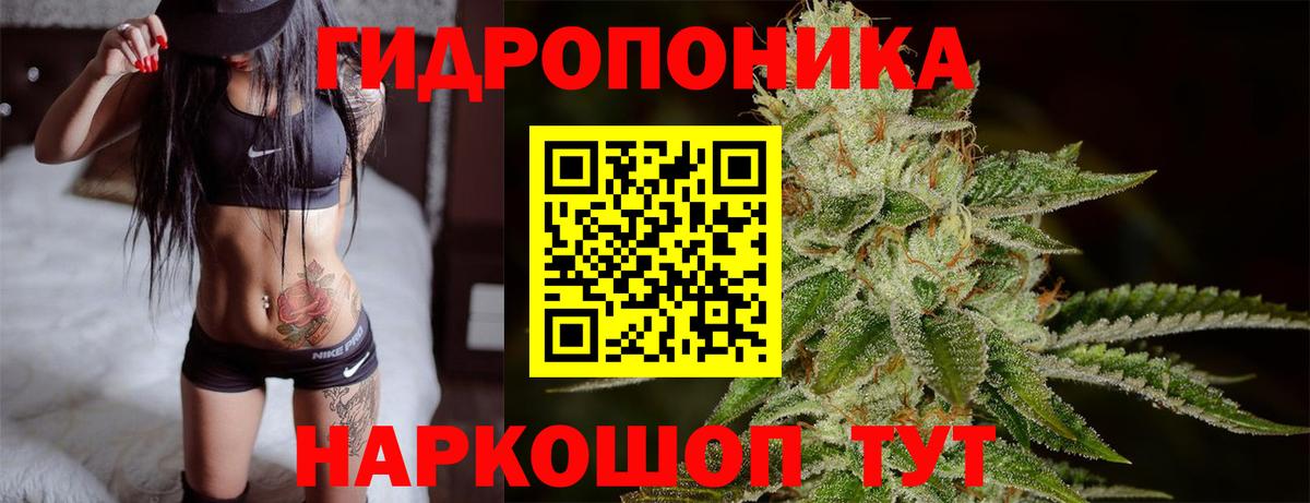 Канабис план  МАРИХУАНА конопля  Вход с VPN  Бошки марихуана SATIVA & INDICA  Котлас  Бошки марихуана индика 
